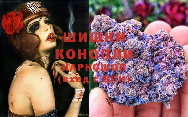 трава Абаза