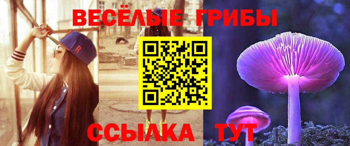 Тюмень  Галлюциногенные грибы Psilocybine cubensis  Вход с VPN 